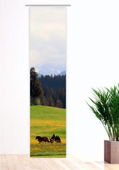 Auf dem Weg, Flächenvorhang Einzel
